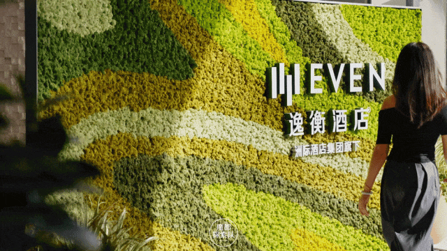 在上海虹桥商务区感悟旅途悠然瞬间(图12)
