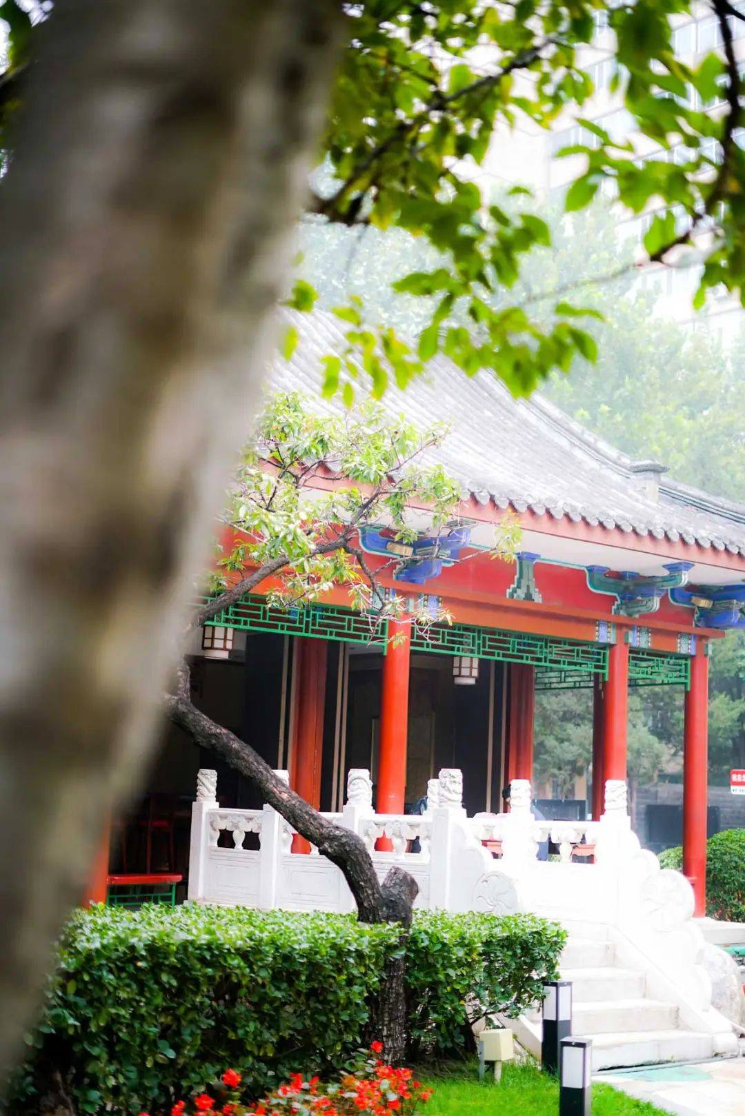 九游娱乐入口：这份高品质商旅酒店榜单将成为您2025商务出行的理想选择(图44)
