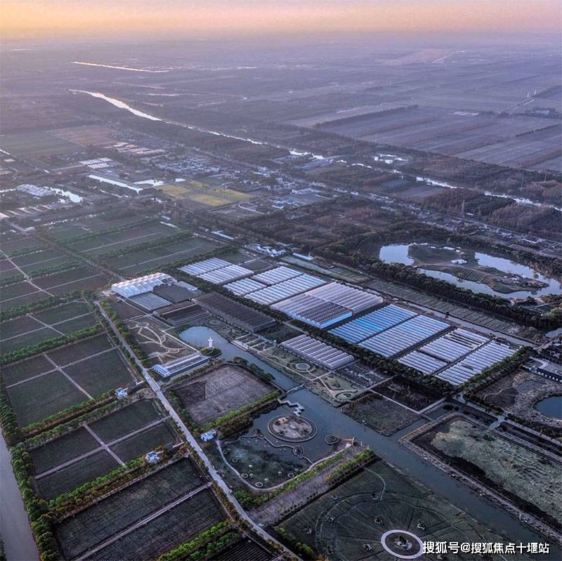 上海市崇明区海上花岛生态度假酒店2025全面介绍预约详询(图1)