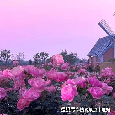上海市崇明区海上花岛生态度假酒店2025全面介绍预约详询(图3)