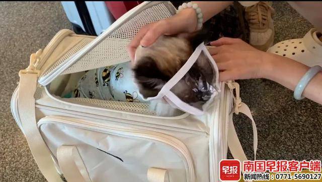 宠物也有旅行团“毛孩子”催生广西旅游新业态(图3)