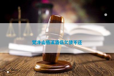 梵净山栖溪酒店欠债不还(图2)
