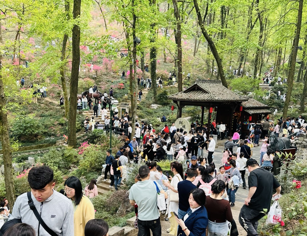 303萬人次打卡銅陵義安清明攬金23億 文旅消費活力爆棚(图2)